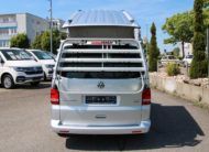 Volkswagen T5 California 4-Motion